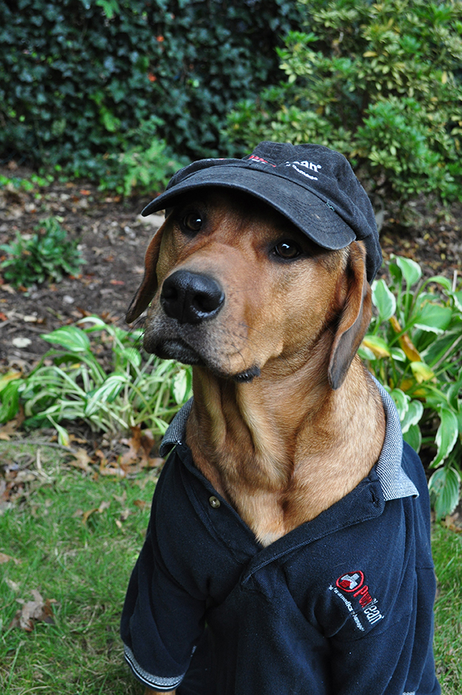 Malcolm Hoy, Head of Security