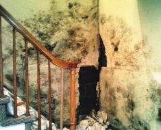 Mold wall NJ new jersey remediation home restoration