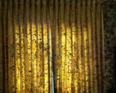 mold wall nj new jersey remediation home restoration curtains curtain