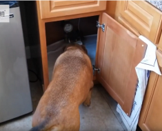 finding your water switch