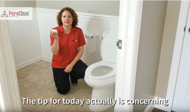 are wet wipes bad