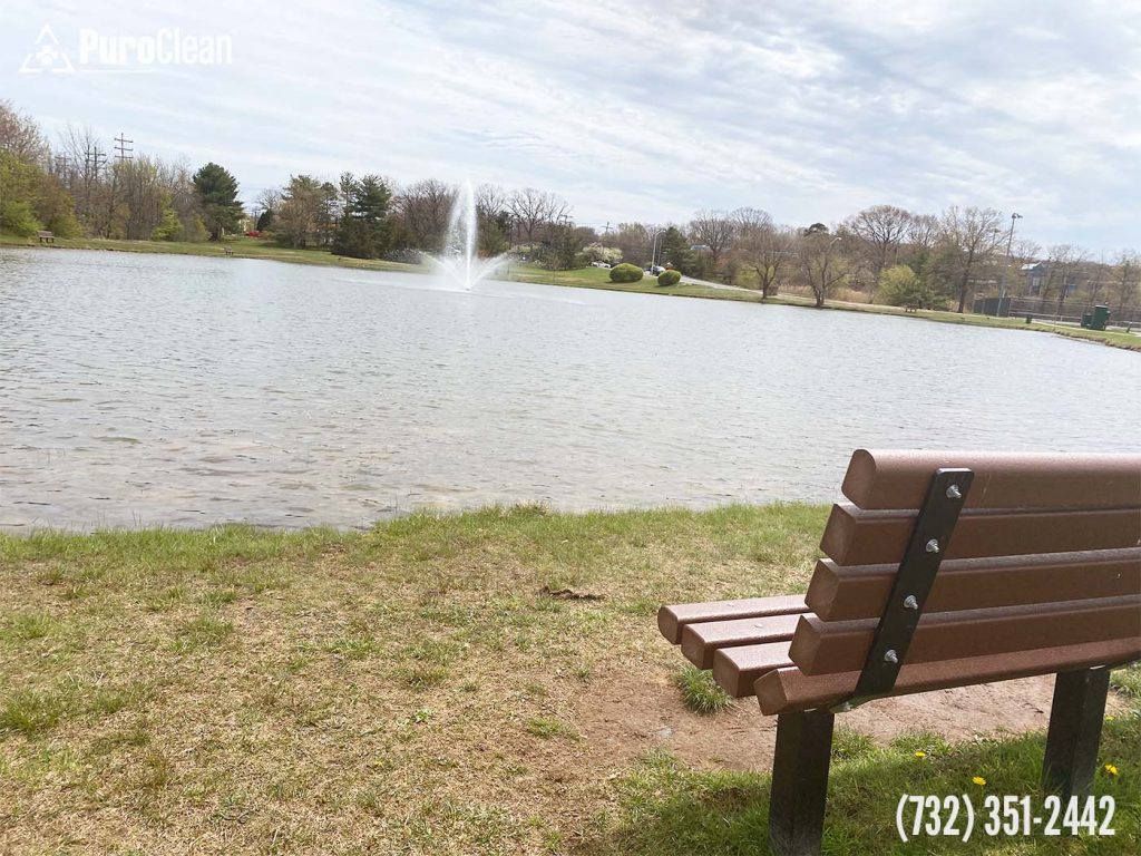 Water and Home Damage Restoration Services in Sayreville NJ