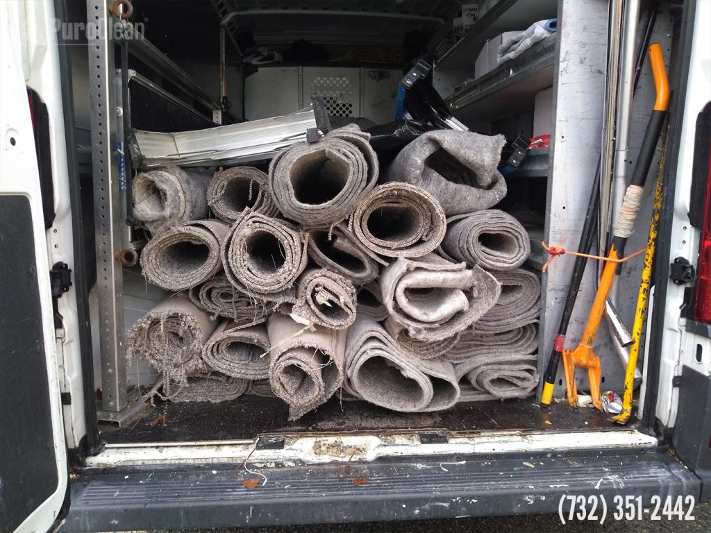 mold removal in matawan nj
