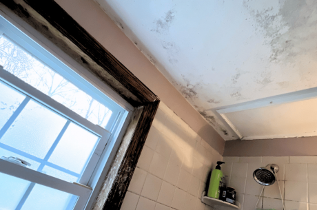 mold on a bathroom ceiling