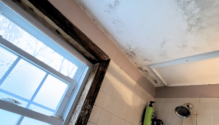 How To Get Rid Of Mold On A Bathroom Ceiling PuroClean Of Matawan
