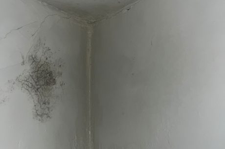 Mold in closet