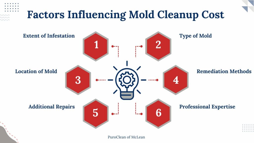 mold cleanup cost factors