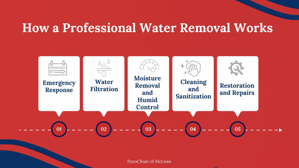 Professional water removal works