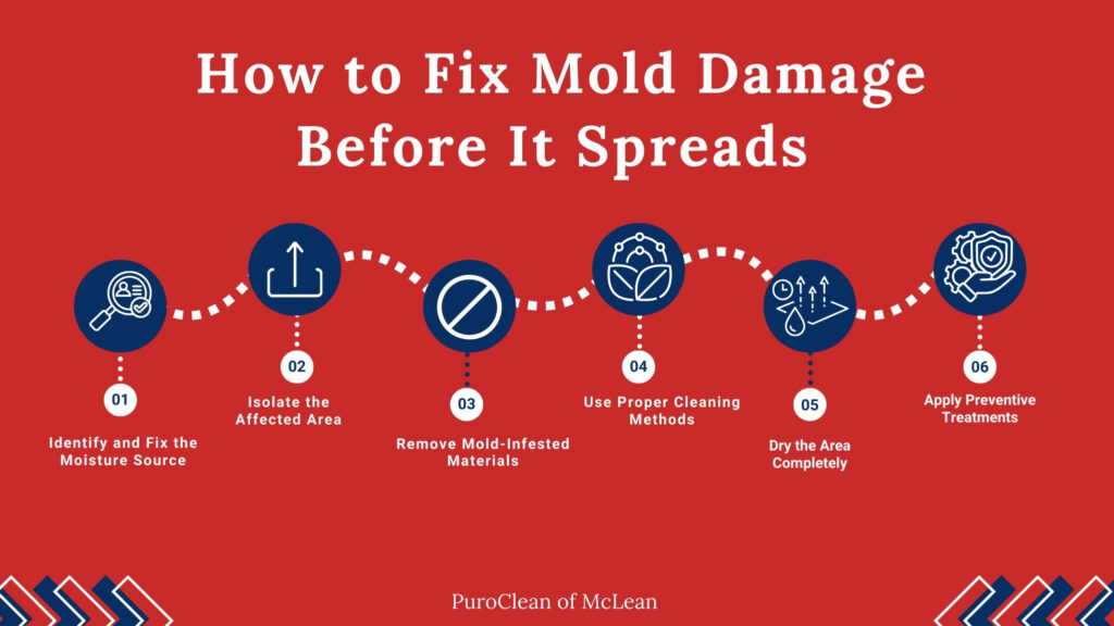Fix Mold Damage