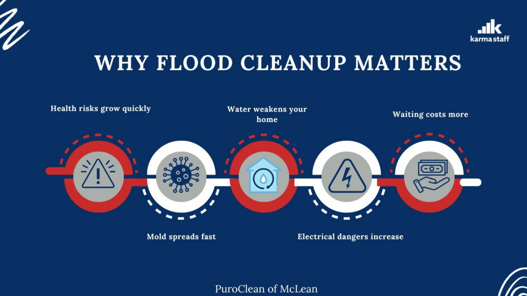 importance of quick flood cleanup
