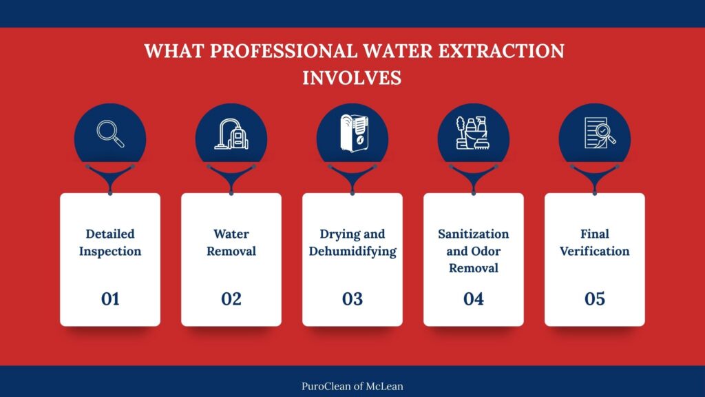Infographic showing the five steps of professional water extraction: detailed inspection, water removal, drying and dehumidifying, sanitization and odor removal, and final verification.