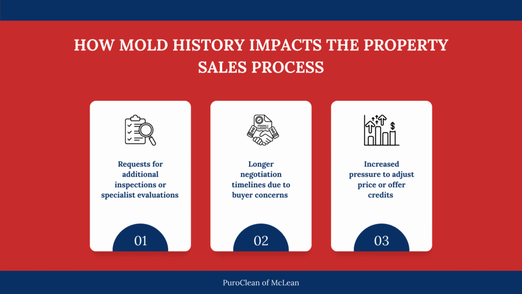 How Mold History Influences Home Sales and Buyer Negotiations