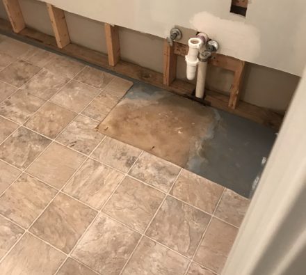 mold remediation result