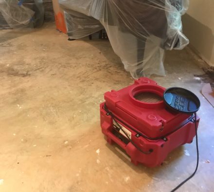 mold remediation in Bethesda