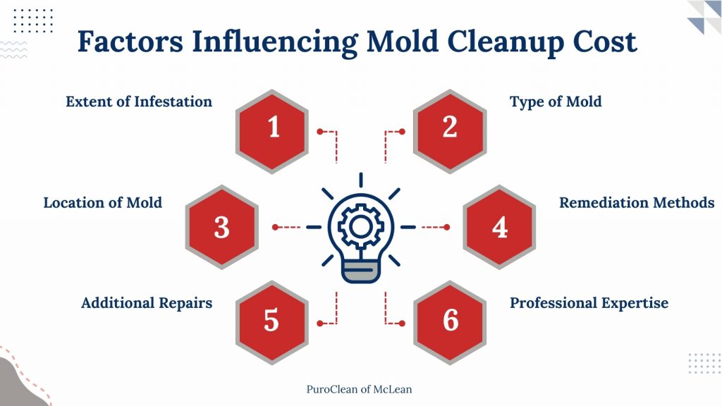 mold cleanup cost factors