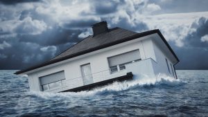 Quick Flood Cleanup