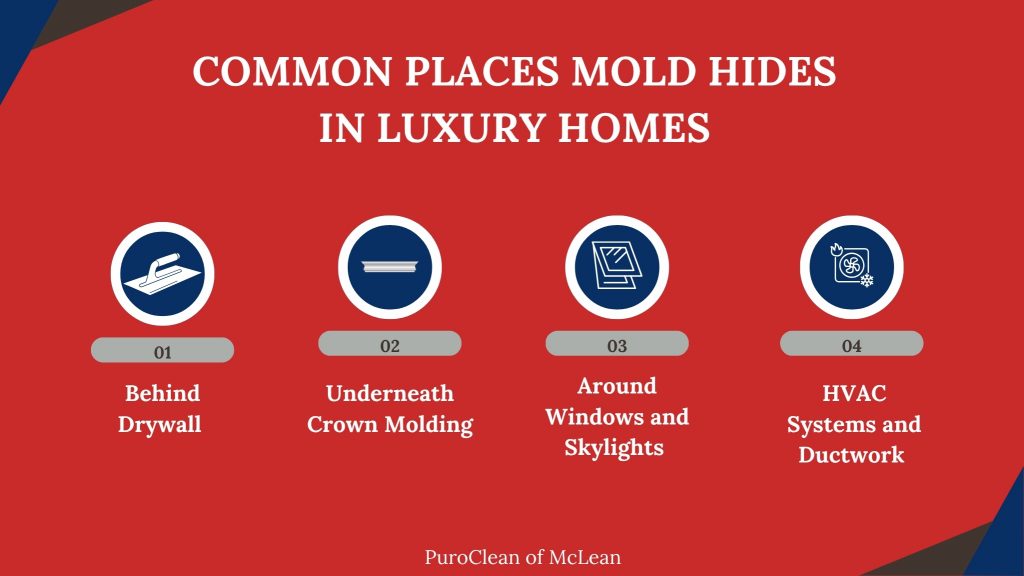 common places mold hides in luxury homes