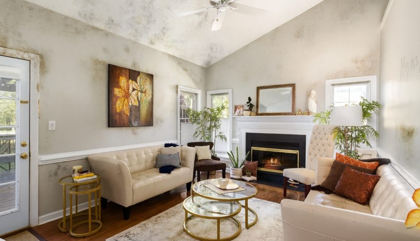 Mold in McLean luxury homes