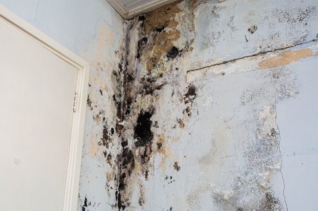early signs of water damage