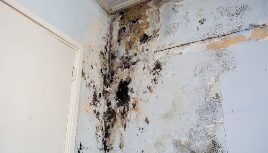 early signs of water damage