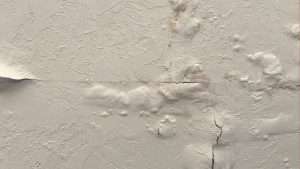 early signs of water damage