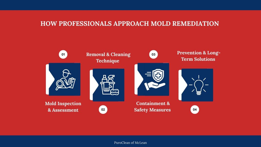 professionals mold remediation approach