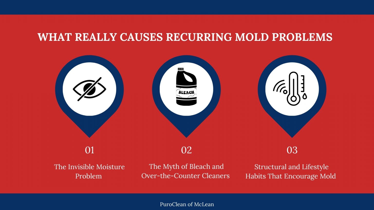 Recurring Mold Problems in McLean: Causes and Fixes
