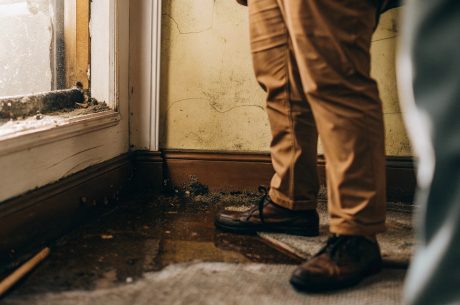 Pcm assessing water damage and mold along a wall and floor inside a home.