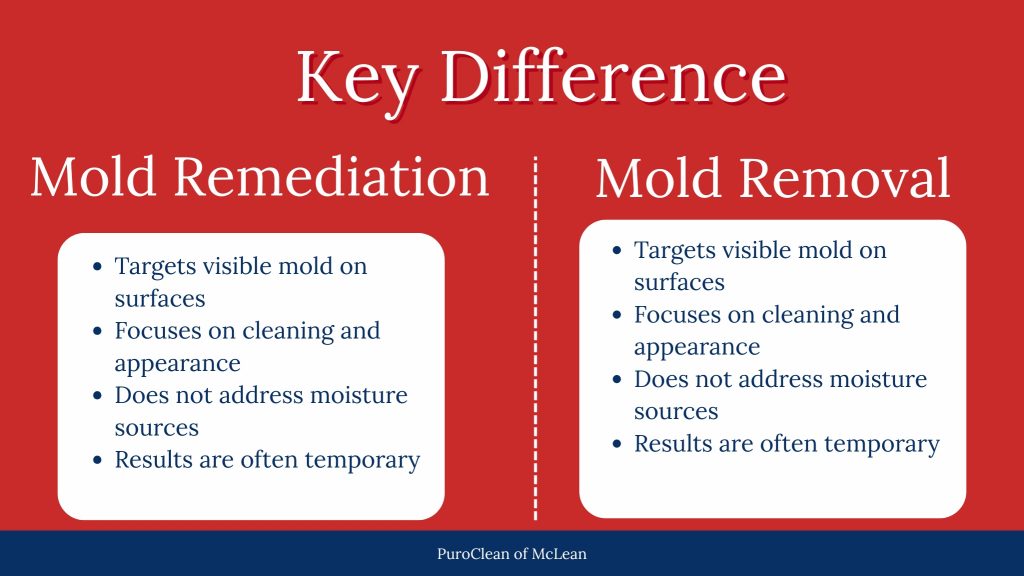 Infographic showing the key differences between mold remediation vs removal, including mold treatment options for McLean homes