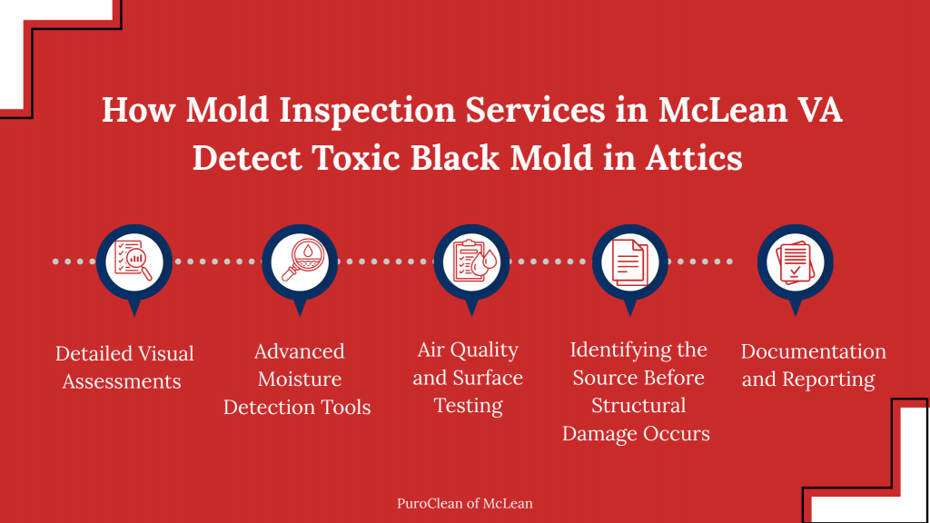 Infographic showing how mold inspection services in McLean VA detect toxic black mold in attic spaces through visual inspection, moisture detection, air testing, and reporting.