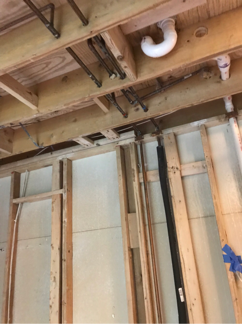 mold remediation