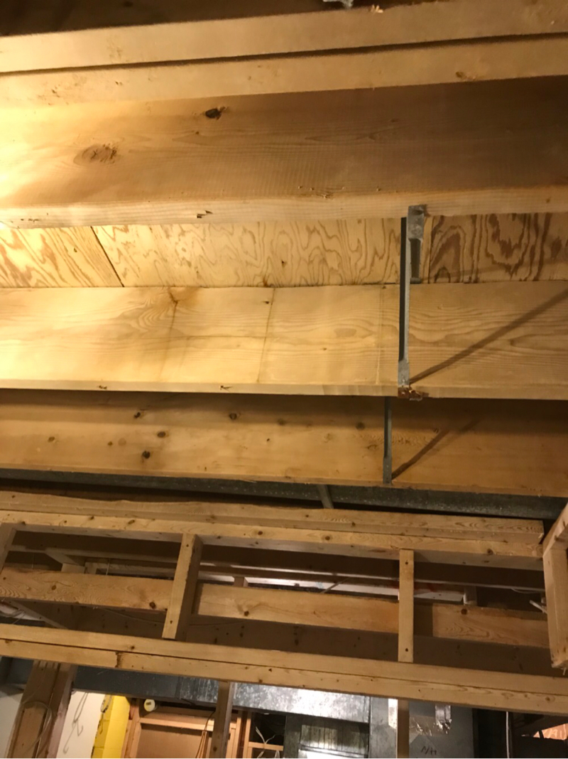 mold remediation