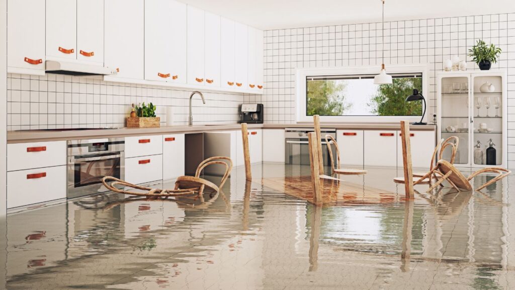 house water leaks