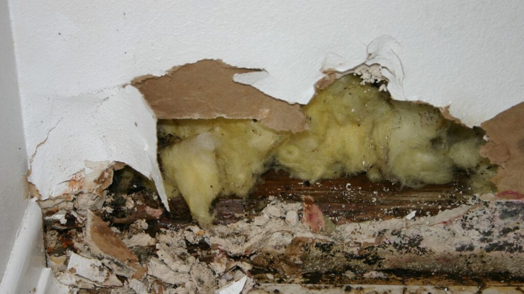 mold damage structure