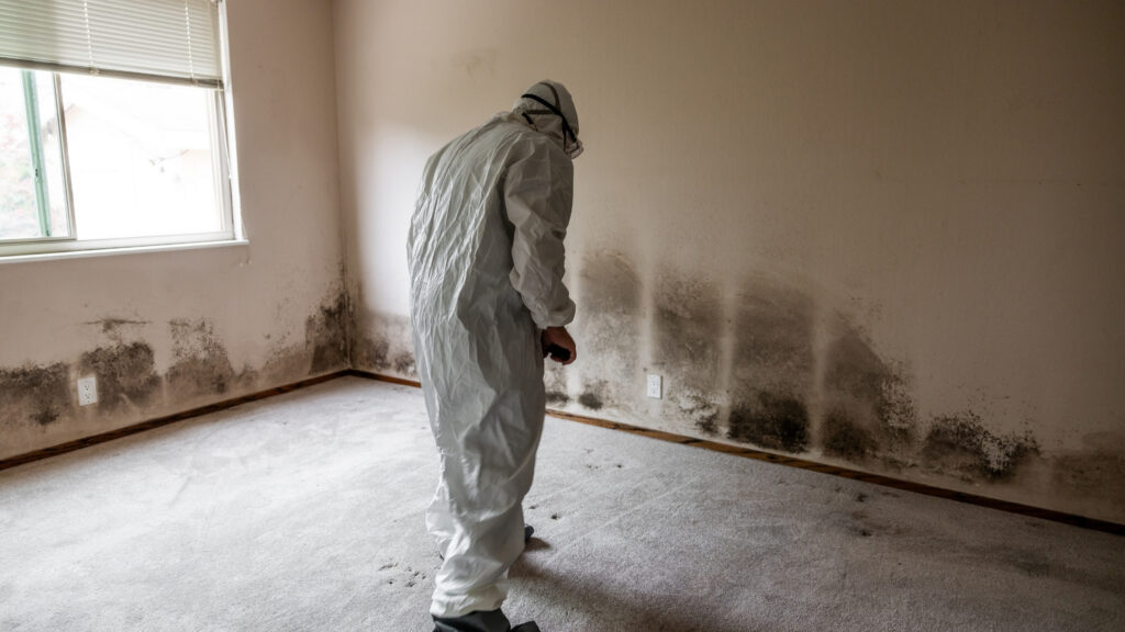 Mold Damage Spot
