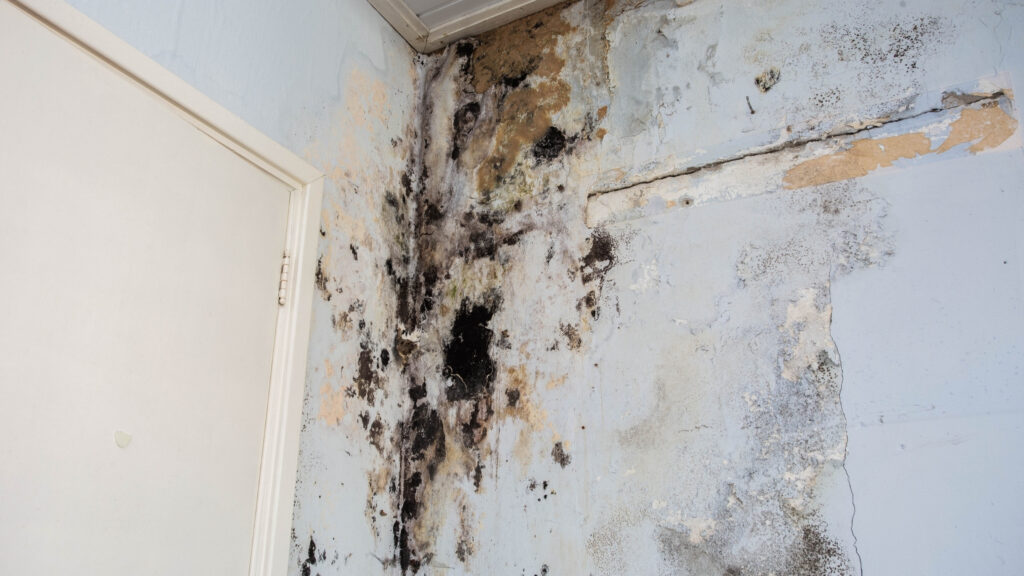 early signs of water damage