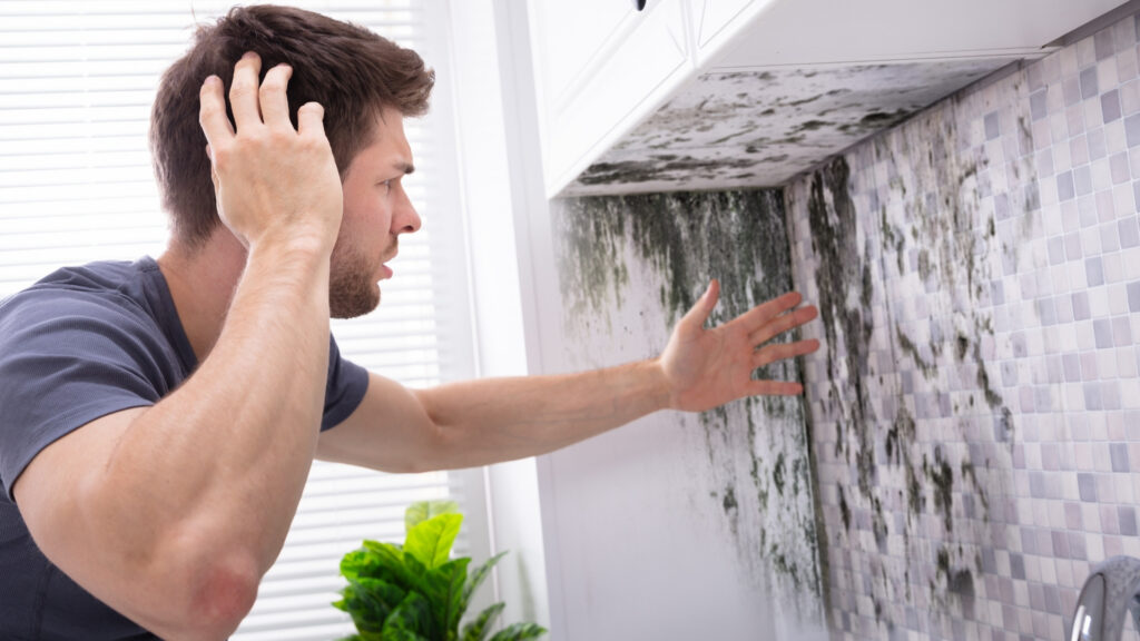 recurring mold problems