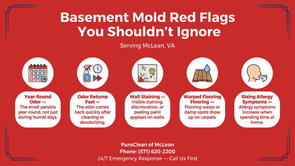 Infographic showing five basement mold red flags in McLean, VA: year-round odor, odor returning after cleaning, wall staining, warped flooring, and increased allergy symptoms.