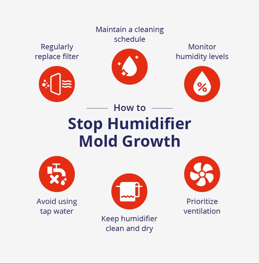 Mold in Humidifier: How to Remove Mold from Humidifier in 2026
