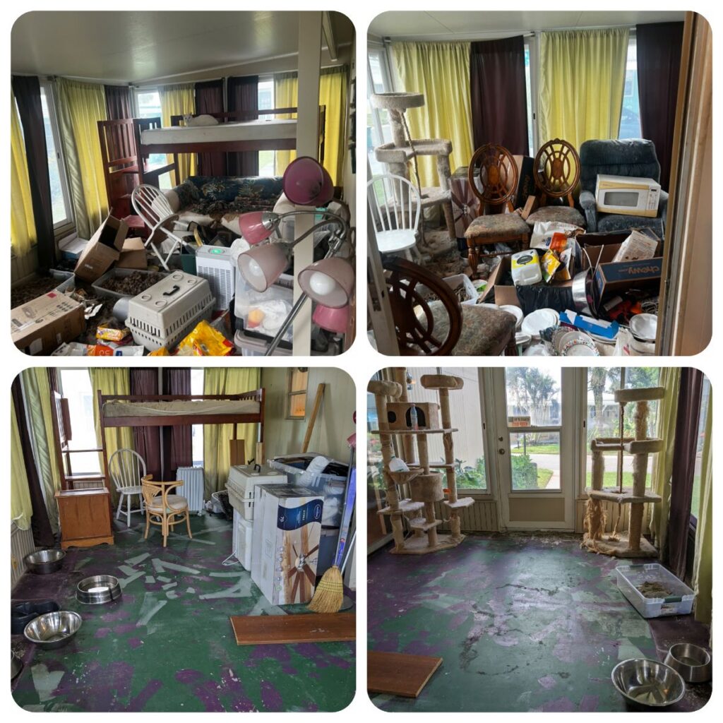 Hoarding Cleanup Services Near Me: PuroClean of Melbourne’s Expert Approach
