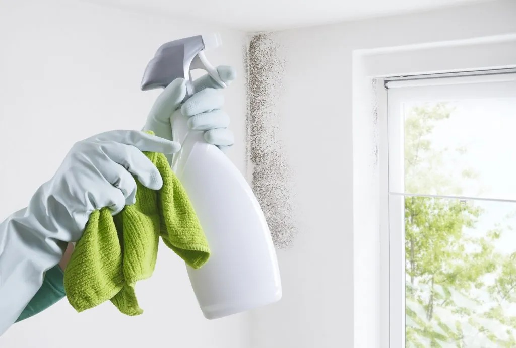 Beyond the Surface: 10 Overlooked Areas in Your Melbourne, Florida Home that Need Cleaning in 2025