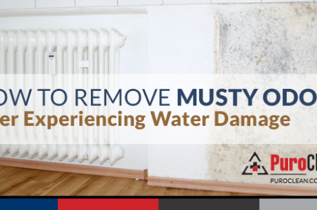 Musty Odors and Smells after Water Damage