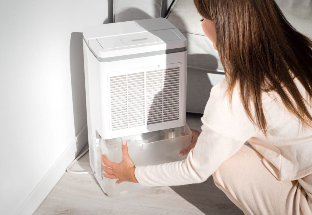 Mold in Humidifier: How to Remove Mold from Humidifier