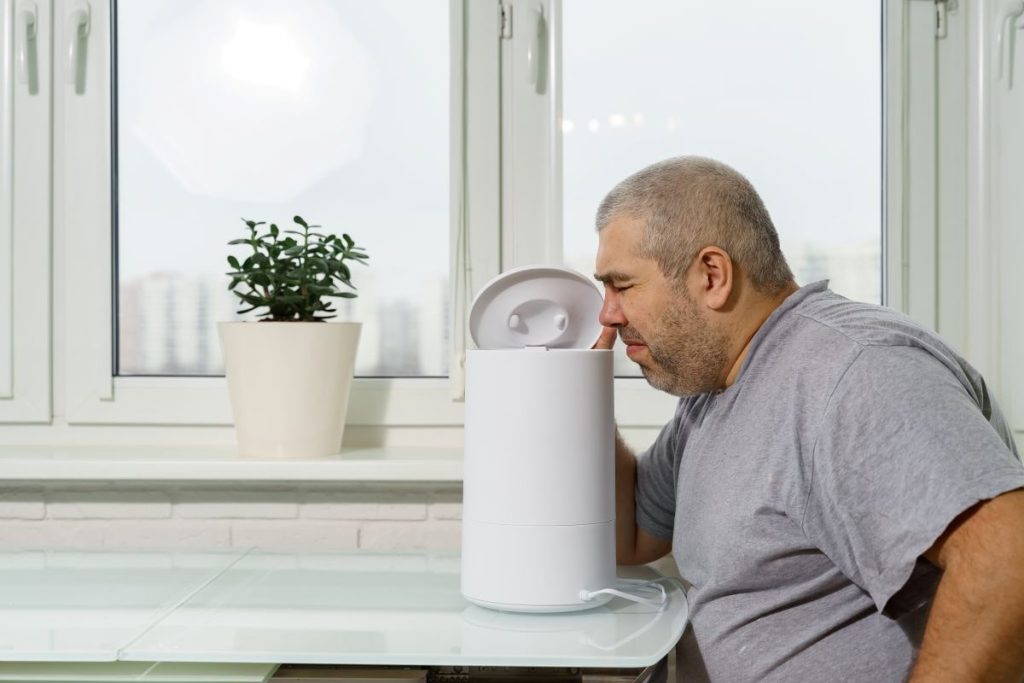 Mold in Humidifier: How to Remove Mold from Humidifier