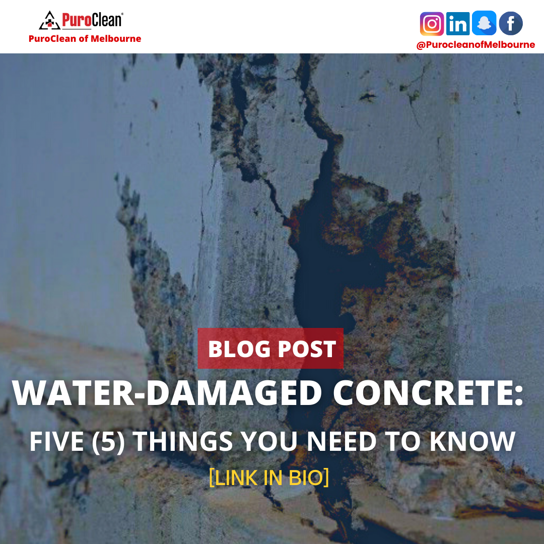 WaterDamaged Concrete Five (5) Things You Need to Know PuroClean of