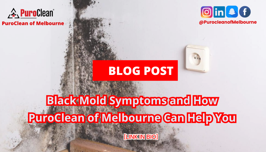 Black Mold Symptoms and How PuroClean of Melbourne Can Help You