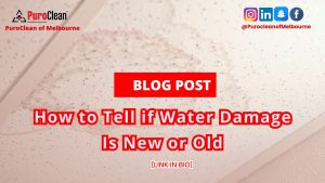 How to Tell if Water Damage Is New or Old