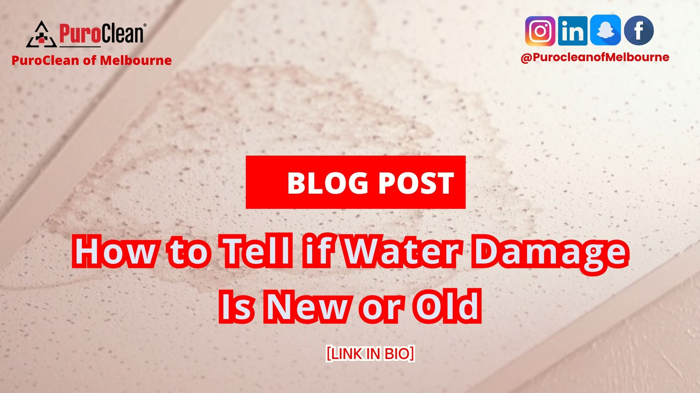 How to Tell if Water Damage Is New or Old