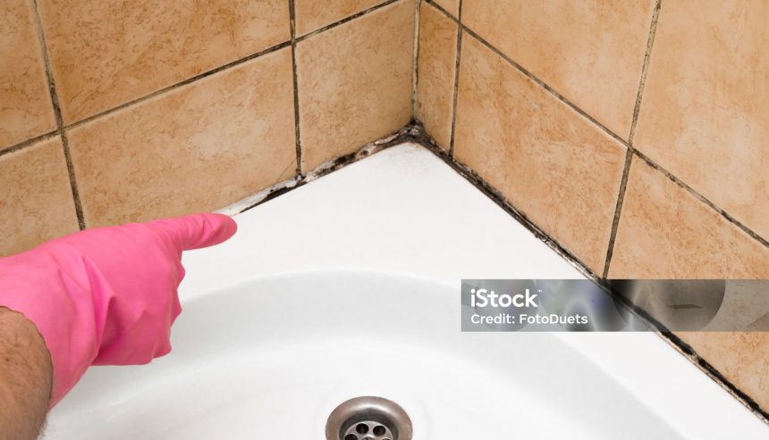 Is Mold in a Hotel Room Dangerous What You Need to Know in 2024