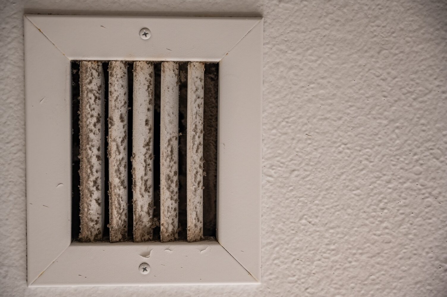 7 Signs of Black Mold in Air Vents & Should You Be Worried About Mold